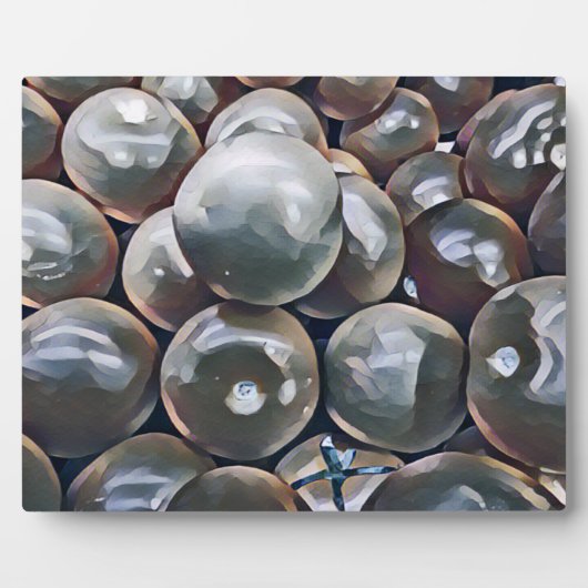 TOMATEN FOTOPLATTE (Vorderseite)