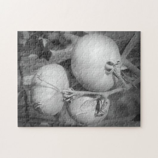 Tomaten in Schwarz-Weiß-Natur Puzzle (Horizontal)