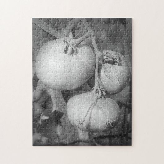 Tomaten in Schwarz-Weiß-Natur Puzzle (Vertikal)