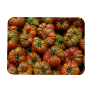 Tomaten Magnet