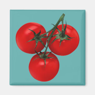 Tomaten Magnet