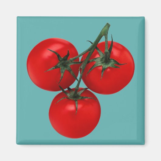 Tomaten Magnet (Vorne)