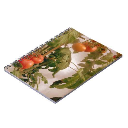 Tomaten/Paradeiser im Weinbau Notizblock (Linke Seite)