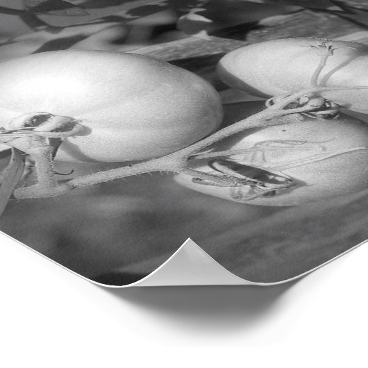 Tomaten/Paradeiser in Schwarz/Weiß Abstrakt Poster (Ecke)