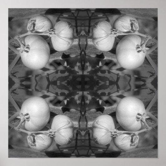 Tomaten/Paradeiser in Schwarz/Weiß Abstrakt Poster (Vorne)
