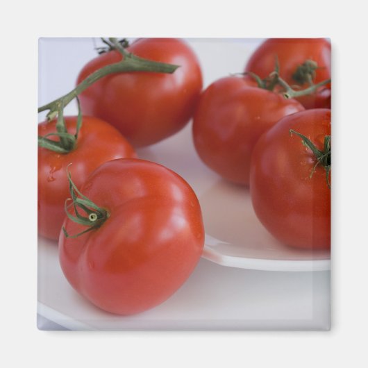 Tomaten/Paradeiser Magnet (Vorne)
