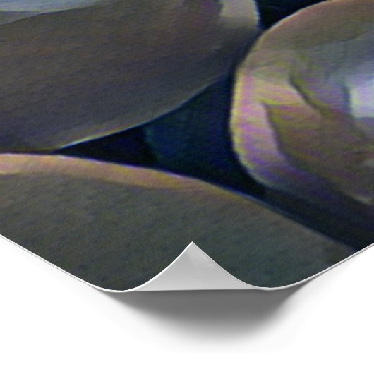 TOMATEN POSTER (Ecke)