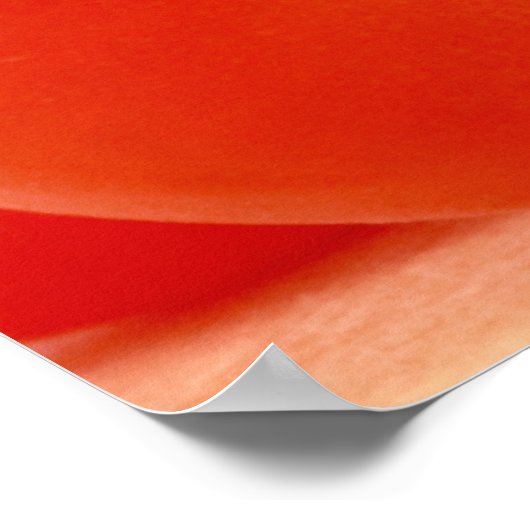 Tomaten Poster (Ecke)