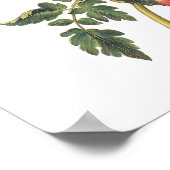 Tomaten Poster (Ecke)