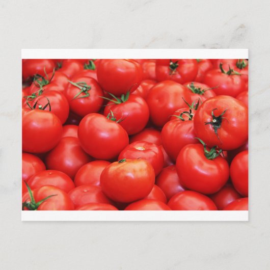 Tomaten Postkarte (Vorderseite)