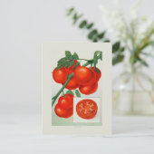 Tomaten Postkarte (Stehend Vorderseite)