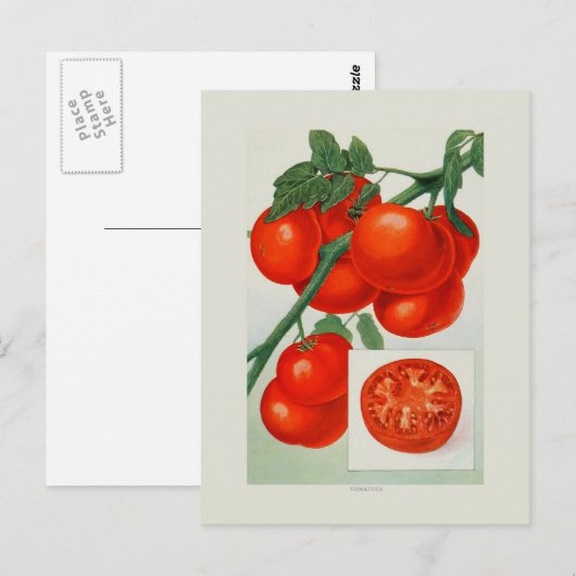 Tomaten Postkarte (Vorne/Hinten)