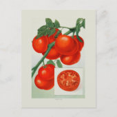 Tomaten Postkarte (Vorderseite)