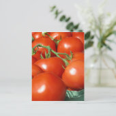 Tomaten Postkarte (Stehend Vorderseite)