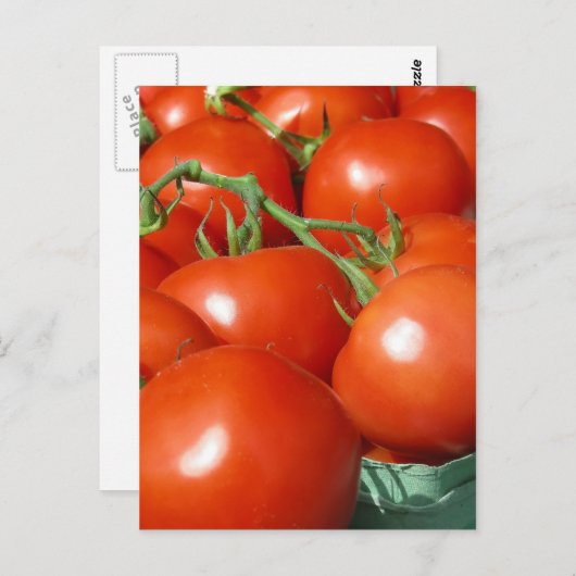 Tomaten Postkarte (Vorne/Hinten)