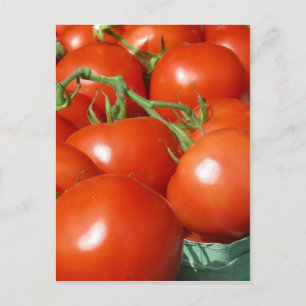 Tomaten Postkarte