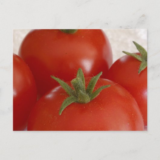 Tomaten Postkarte (Vorderseite)