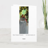 "Tomaten und Knoblauch" digital verändert Stillleb Karte (Rückseite)