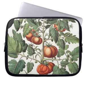 Tomaten und Melonen: amoris 1.Poma fructu luteo; 2 Laptopschutzhülle