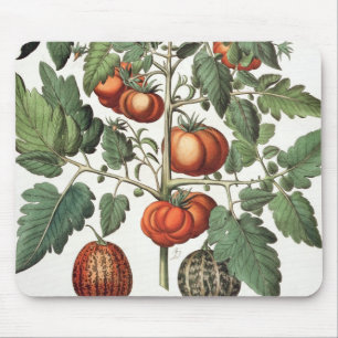 Tomaten und Melonen: amoris 1.Poma fructu luteo; 2 Mousepad