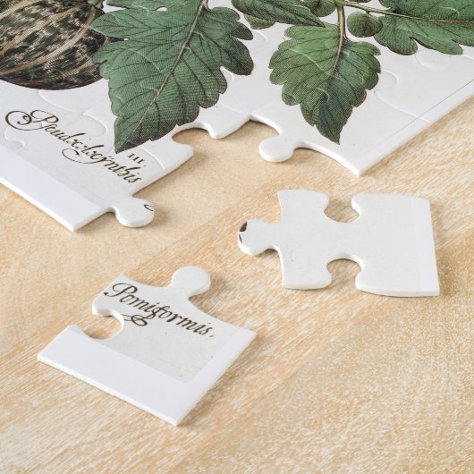 Tomaten und Melonen: amoris 1.Poma fructu luteo; 2 Puzzle (Seite)