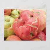 Tomatengesicht Postkarte (Vorderseite)