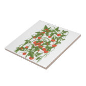 Tomatenmuster Fliese (Seite)