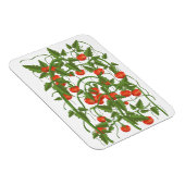 Tomatenmuster Magnet (Rechte Seite)