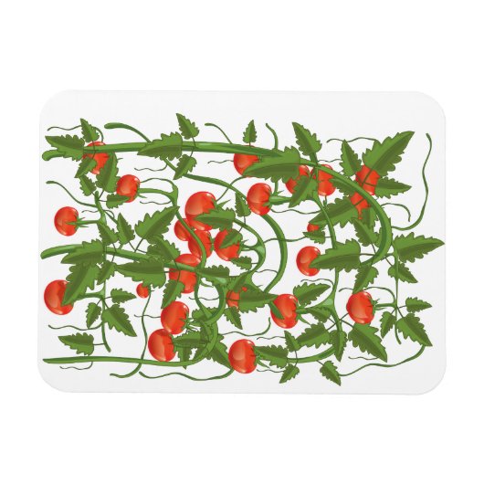 Tomatenmuster Magnet (Horizontal)