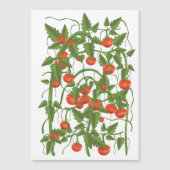 Tomatenmuster Magnetkarte (Vorderseite)