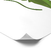 Tomatenmuster Poster (Ecke)