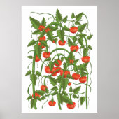 Tomatenmuster Poster (Vorne)
