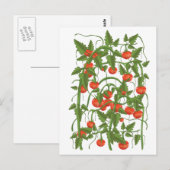 Tomatenmuster Postkarte (Vorne/Hinten)