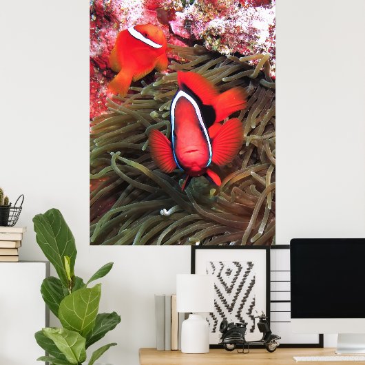 Tomatenpaare Poster (Heimbüro)