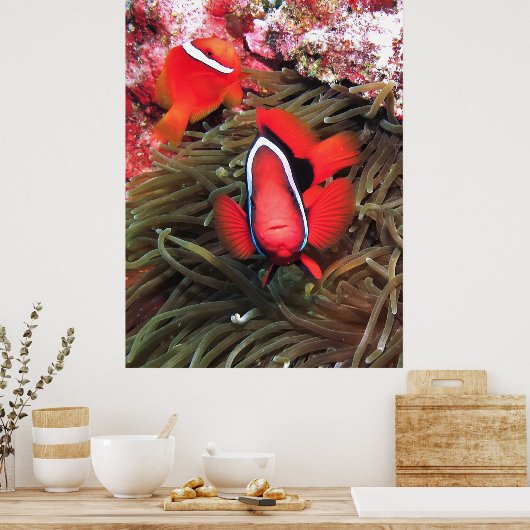 Tomatenpaare Poster (Küche)