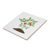 TomatenPflanze Fliese (Seite)