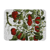 TomatenPflanze Magnet (Horizontal)