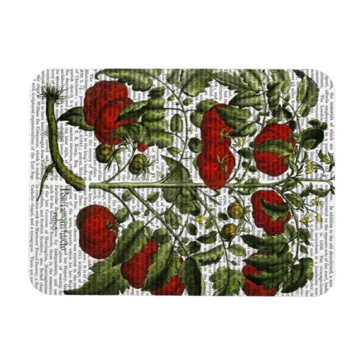 TomatenPflanze Magnet (Horizontal)