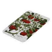 TomatenPflanze Magnet (Linke Seite)