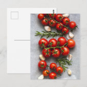 Tomatenpflanzenkarte Postkarte (Vorne/Hinten)