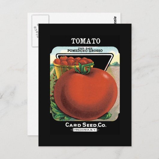 Tomatenpflanzenverpackung Postkarte (Vorne/Hinten)