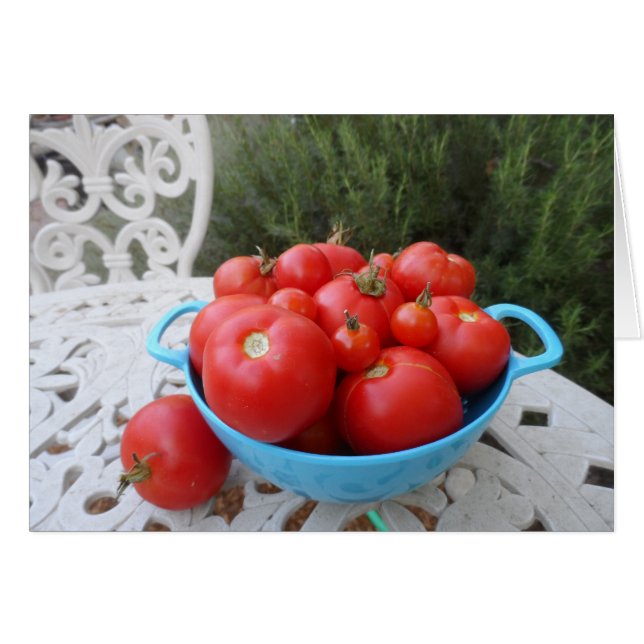 Tomatenschale (Vorderseite (Horizontal))