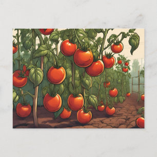 Tomatensorten Pflanze mit roten, reifen Tomaten im Postkarte