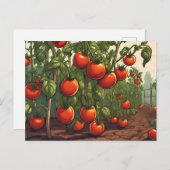 Tomatensorten Pflanze mit roten, reifen Tomaten im Postkarte (Vorne/Hinten)