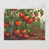 Tomatensorten Pflanze mit roten, reifen Tomaten im Postkarte (Vorderseite)