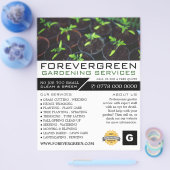 Tomatenwaren, Gartenservice, Gartenbaubetrieb, Gar Flyer (Einzeln)