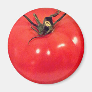 Tomato Beefsteak 4Marco Magnet