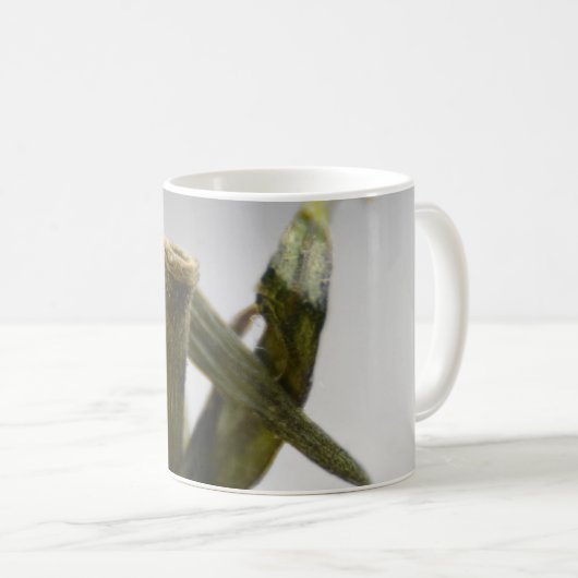 Tomato Coffee Mug Kaffeetasse (VorderseiteRechts)