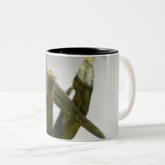 Tomato Coffee Mug Zweifarbige Tasse (VorderseiteRechts)