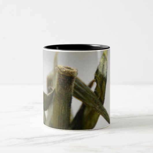 Tomato Coffee Mug Zweifarbige Tasse (Mittel)